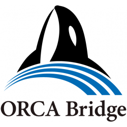 orca_bridge_logo